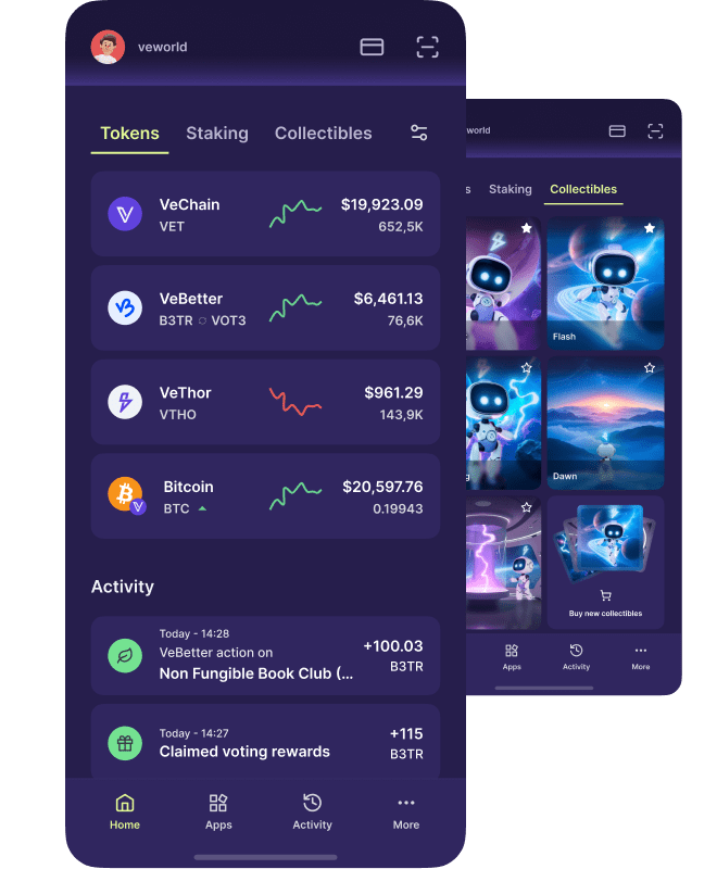 A crypto wallet by Vechain Foundation VeWorld