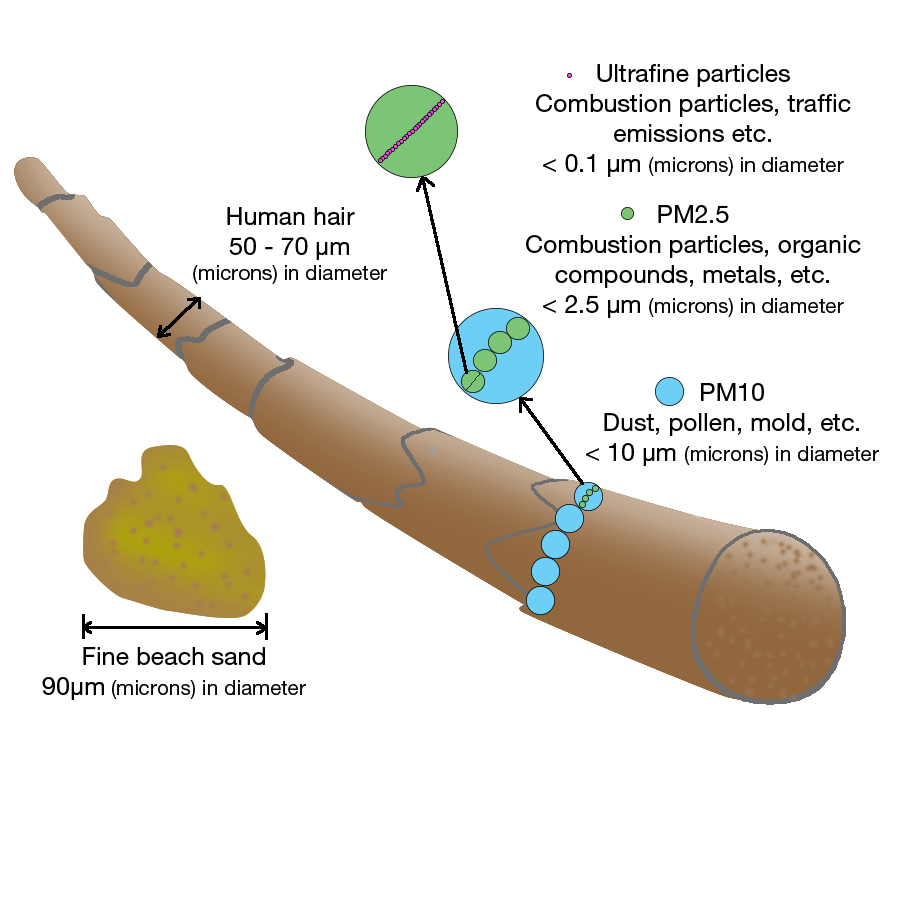 What is Indoor Air Quality (IAQ) and how can you improve it?