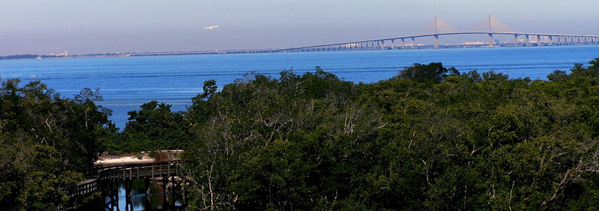 Village Green of Bradenton