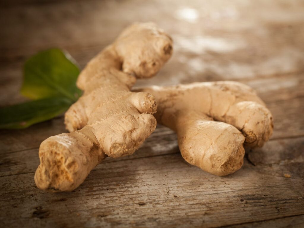 Gember als medicijn. Waar is gember goed voor? Viadomo