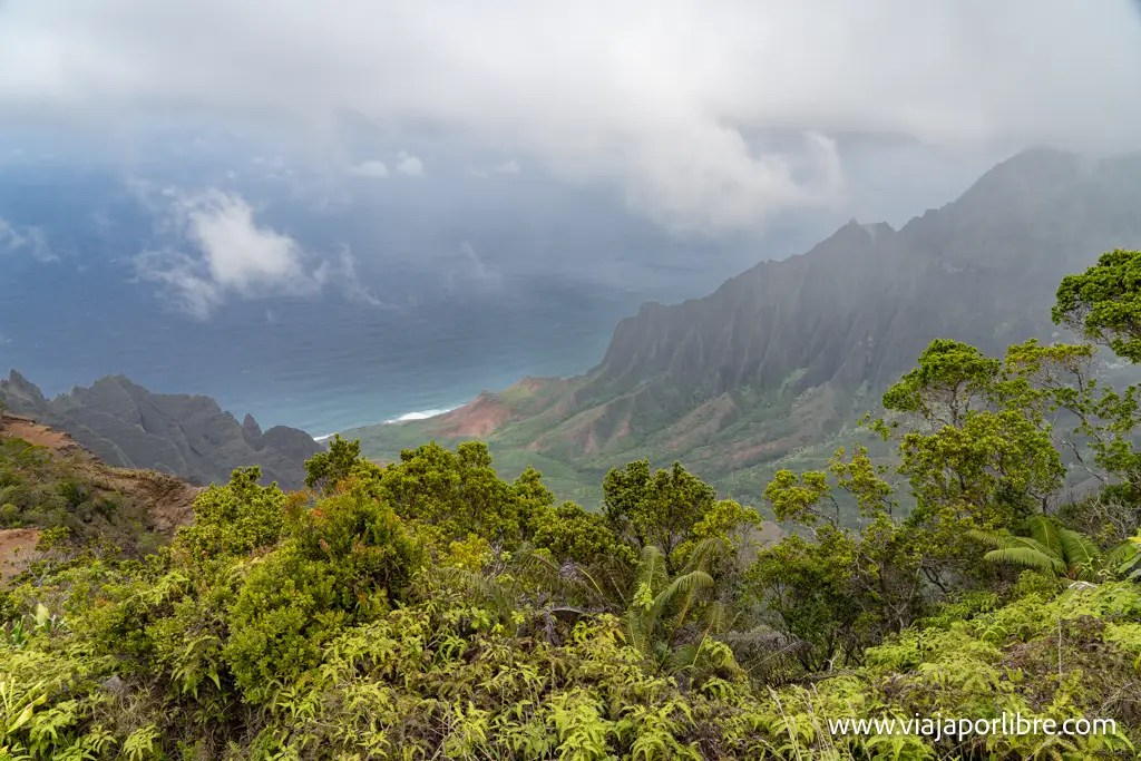 Kokee State Park, senderismo por la isla de Kauai