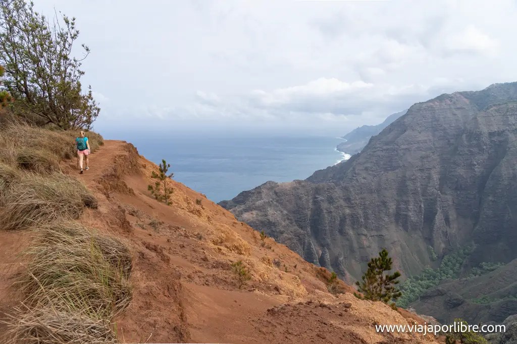 Kokee State Park, senderismo por la isla de Kauai