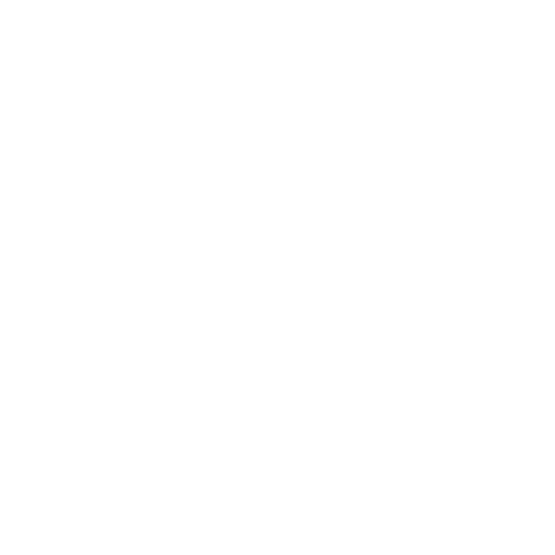 Mexico City Grand Prix Recap VIASPORT