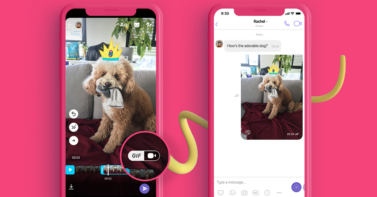 Loop it or Reverse it Create Your Own GIF on Viber Viber