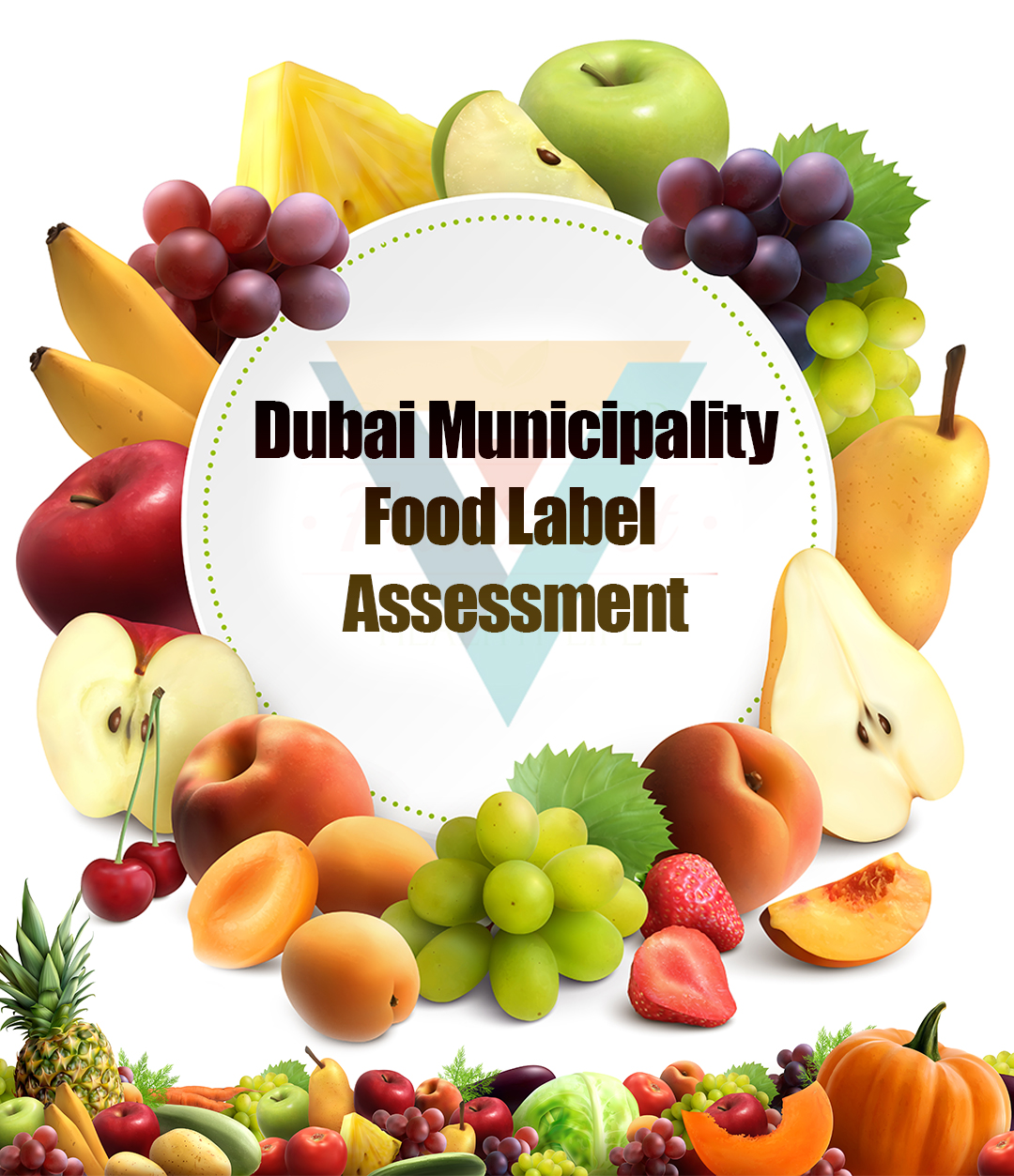 Dubai municipality food label assessment Vibrant Freight