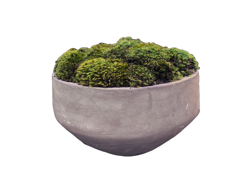 Viburnum Designs Florist. Flowers and Gifts for Valentines Day. Serving