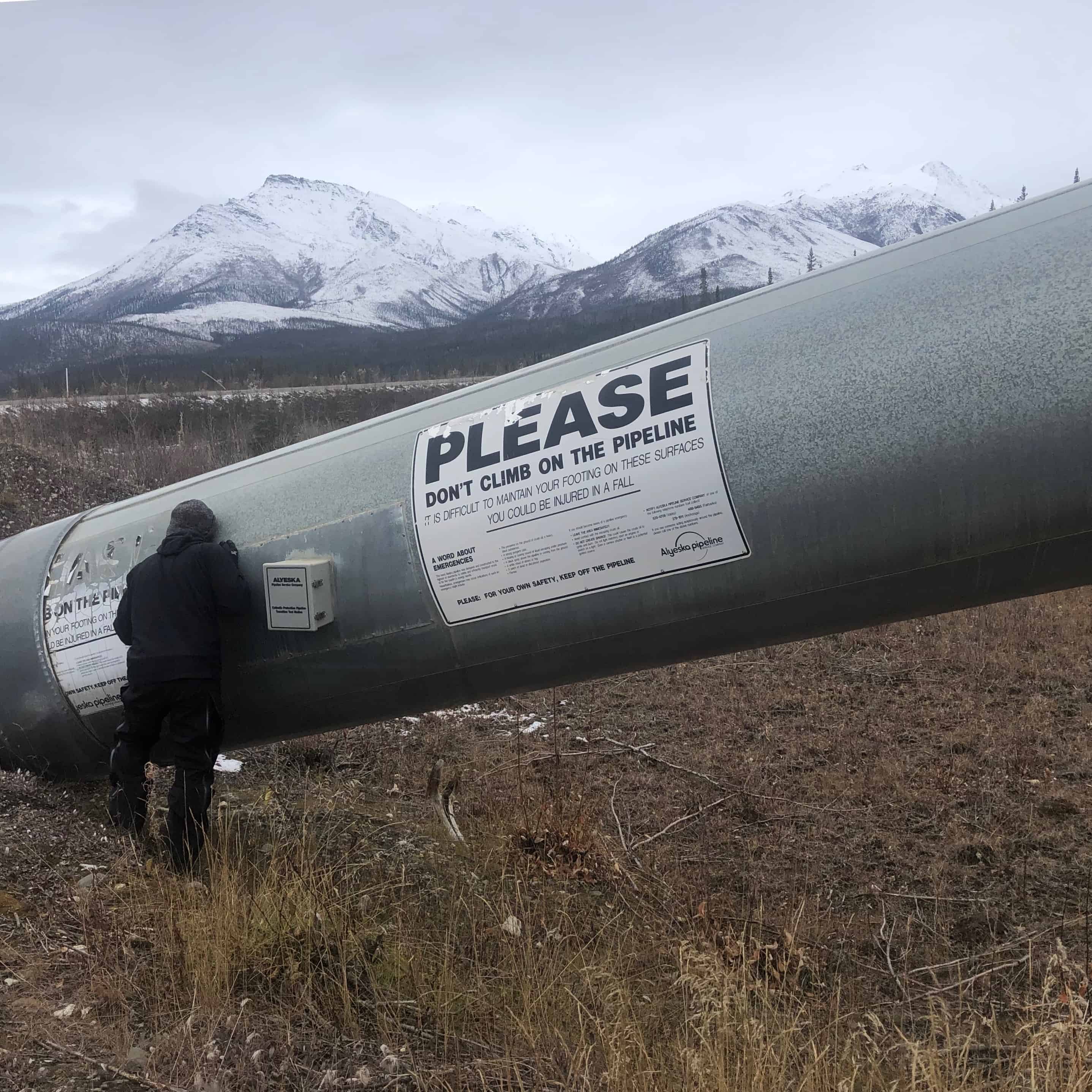 TransAlaska Pipeline System Vic's Tree Service Alaska Wilderness