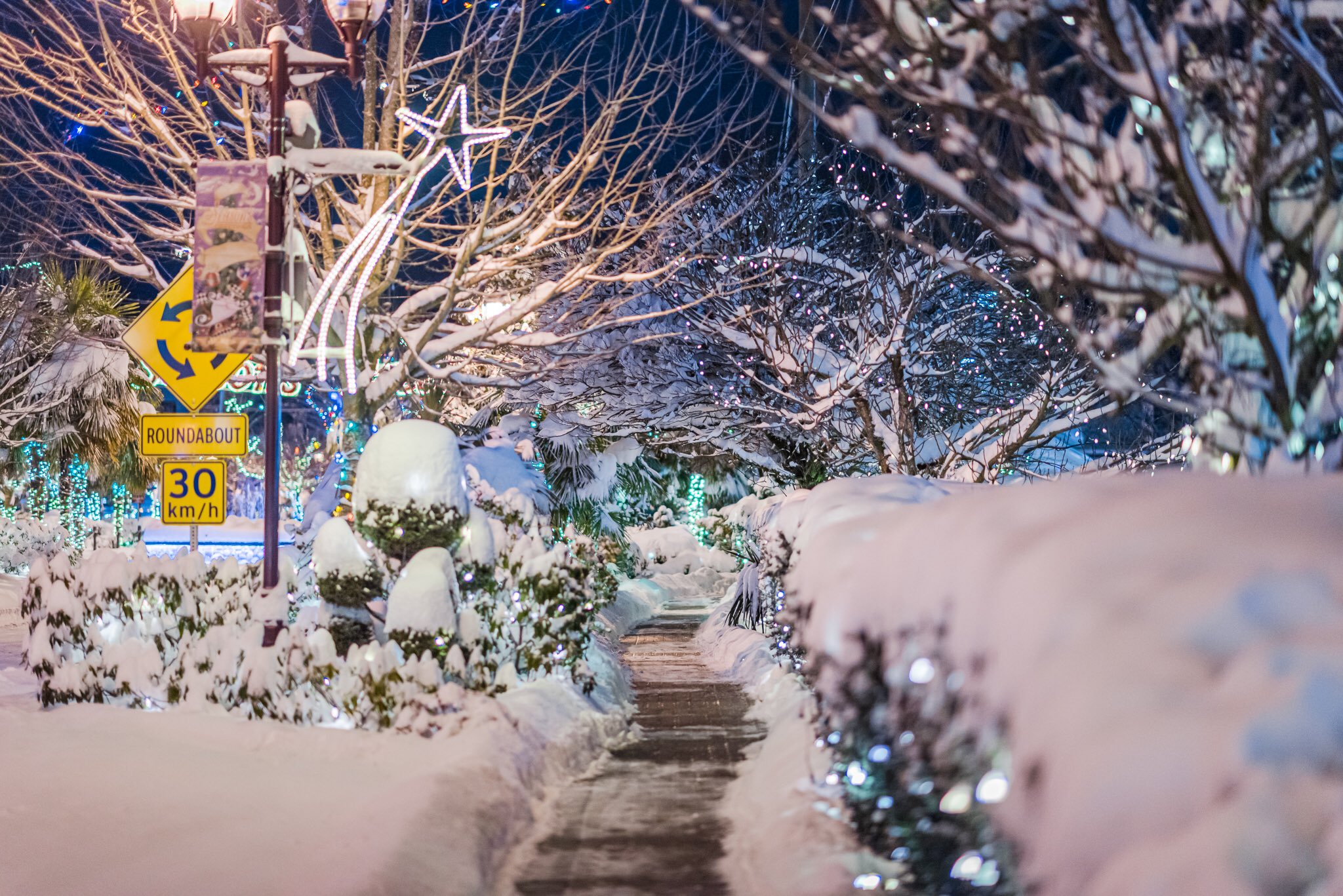 33 incredible photos of Greater Victoria in the snow (PHOTOS/VIDEOS)