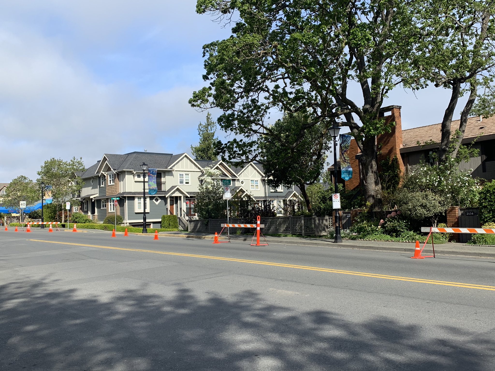 Sidewalks temporarily expanded in sections of Oak Bay Ave for physical