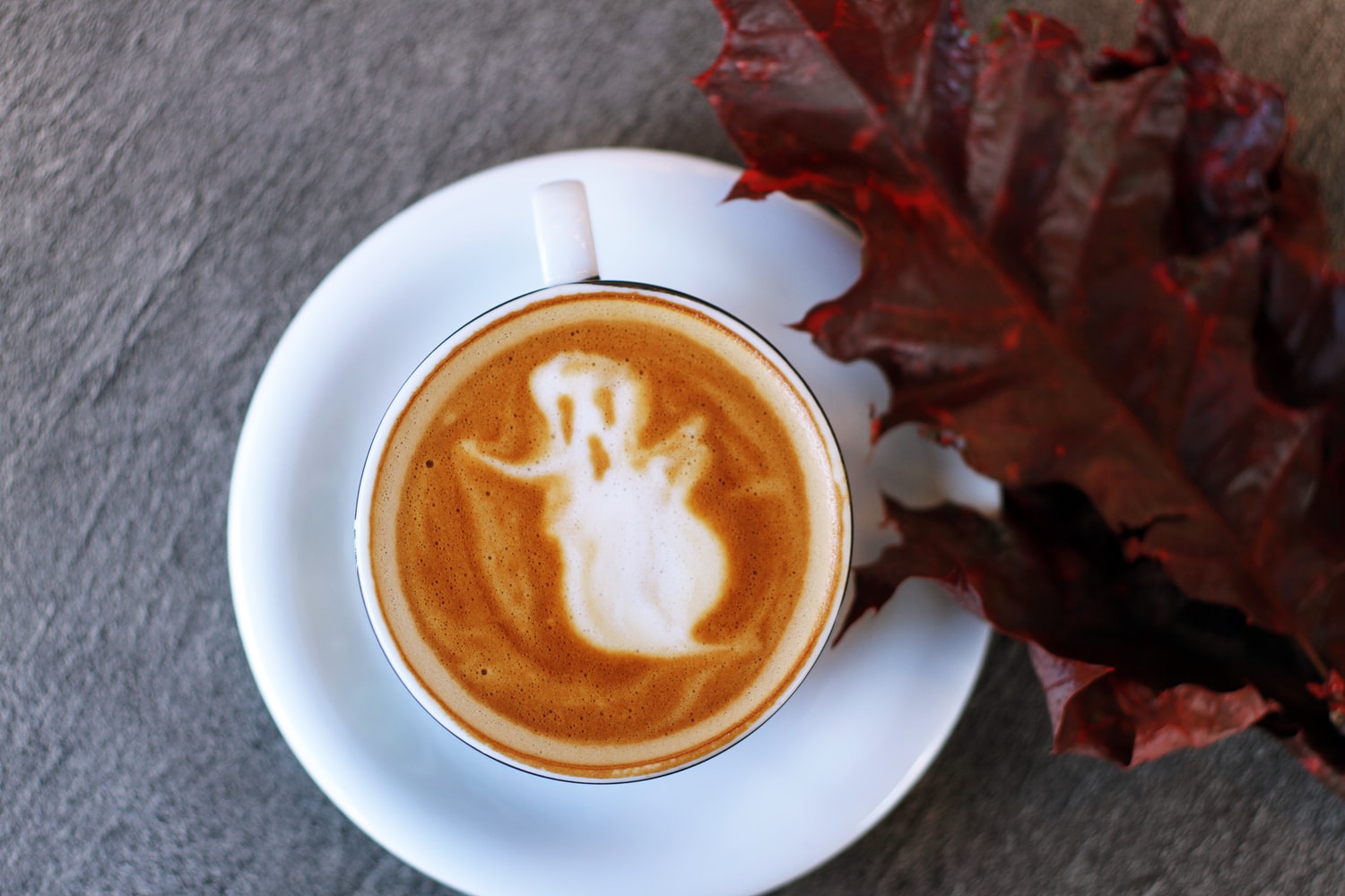 7 Victoria coffee shops to get your Pumpkin Spice Latte and other cozy