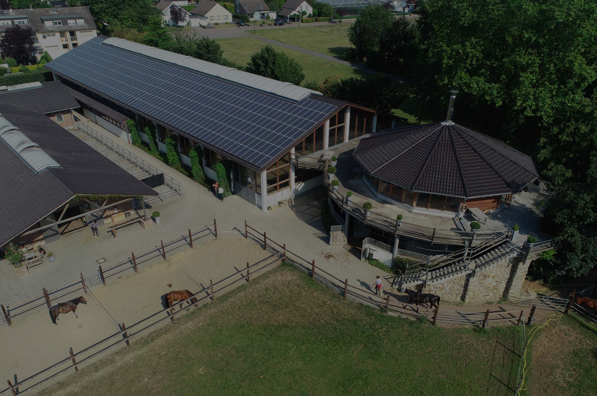 Victory Stables Gut Anstelburg Sportpferdevermarktung, Trainings