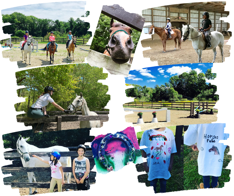 Victory Stables, Inc. Summer Program & After School Horse Club
