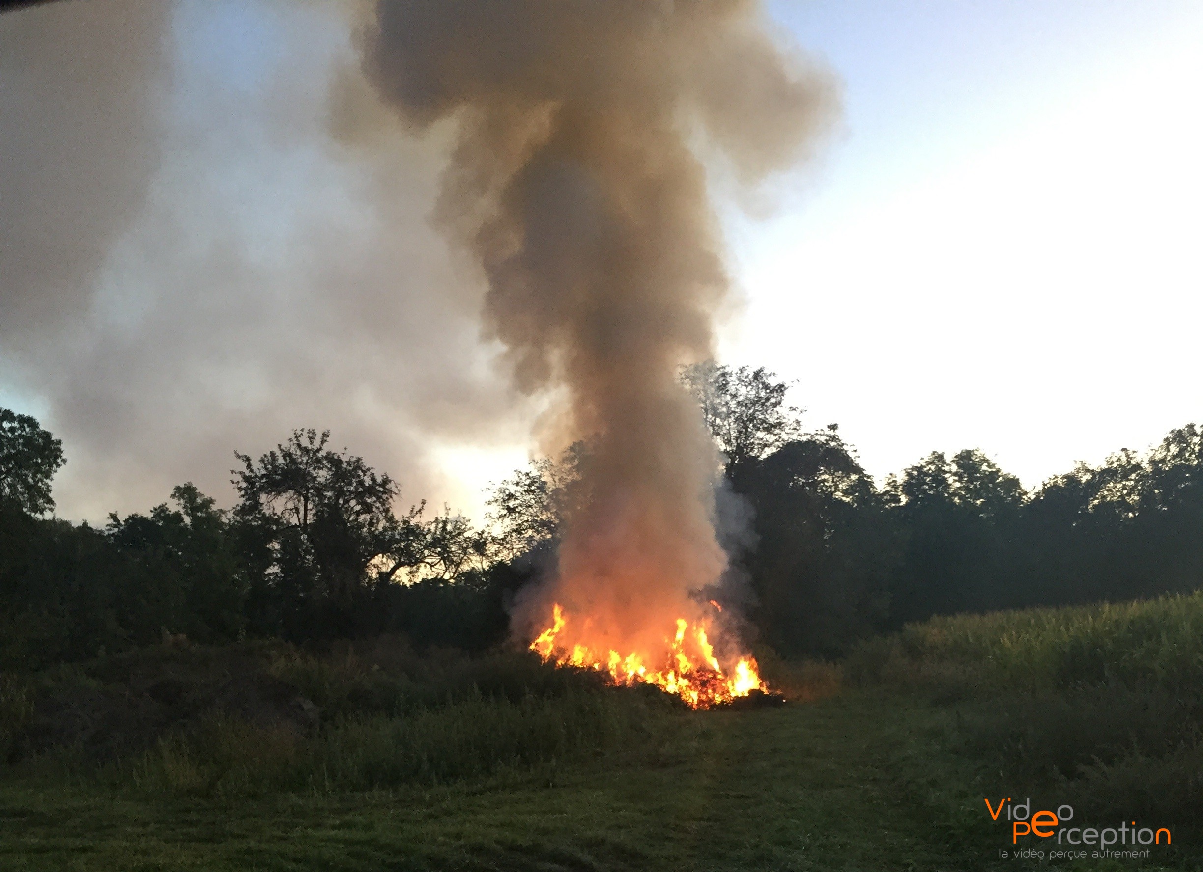 Feu de détritus à HorbourgWihr Vidéo Perception