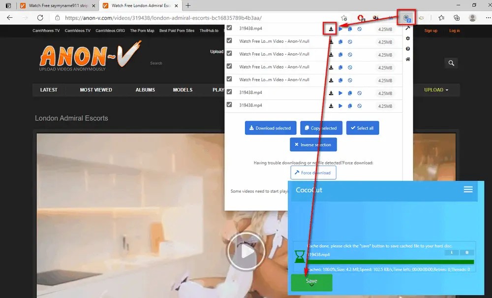 [AnonV Downloader] How to Download Videos from AnonV?(02)