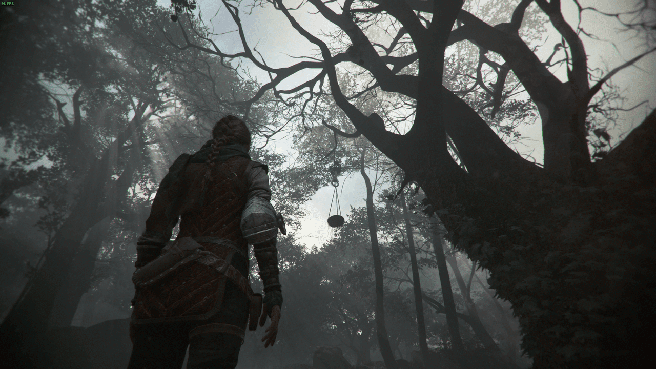 A Plague Tale Requiem Hugo's Collection All Flower Locations VideoGamer