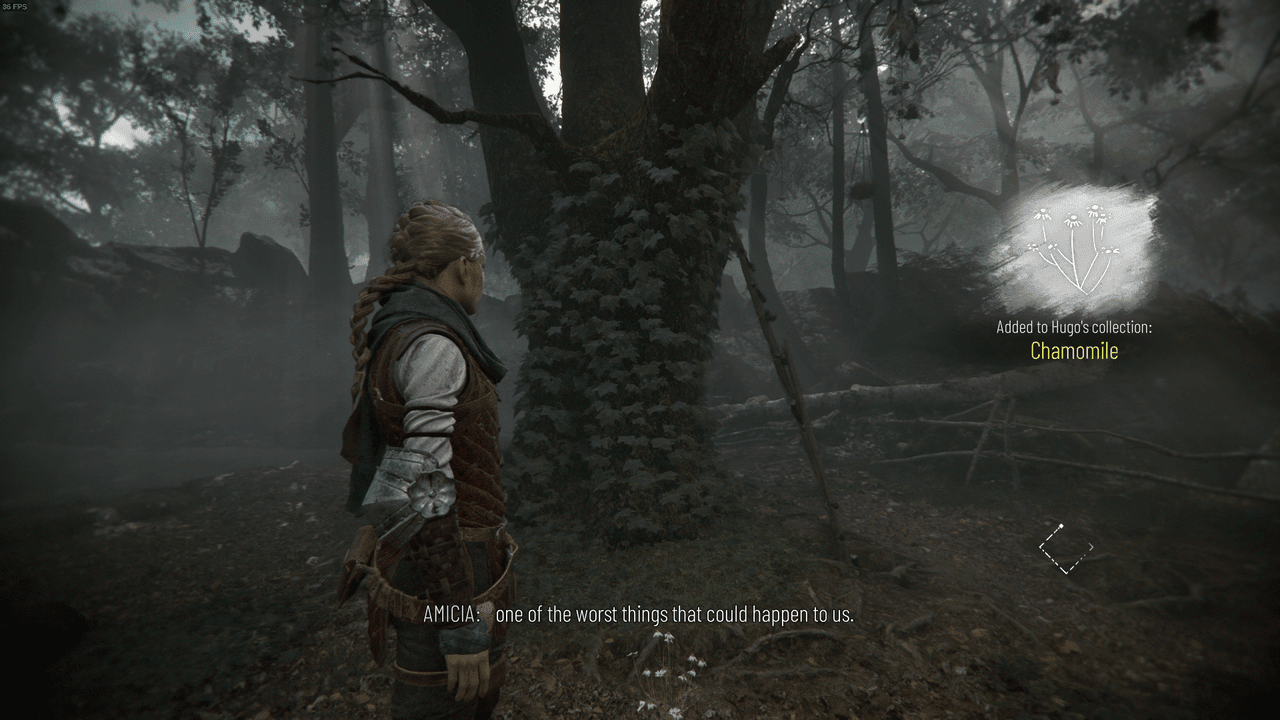 A Plague Tale Requiem Hugo's Collection All Flower Locations VideoGamer