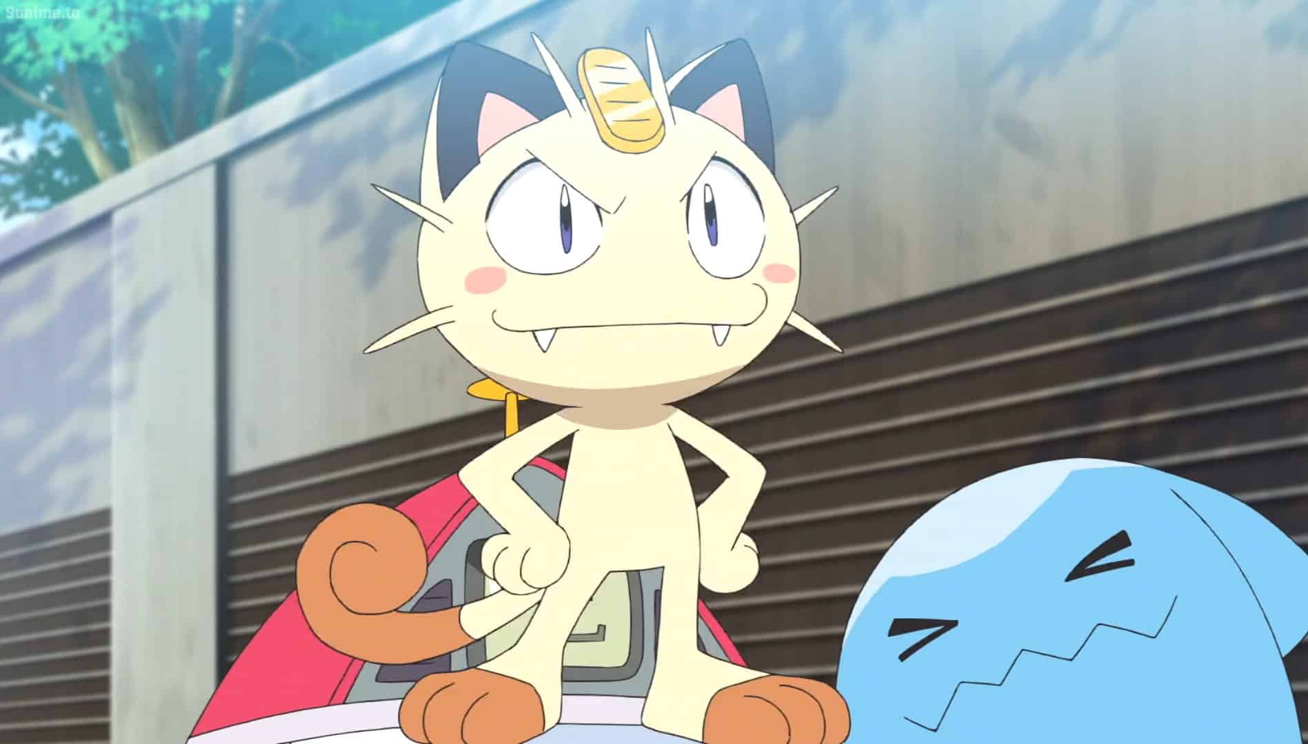 Our Complete List Of Cat Pokemon Videogamer