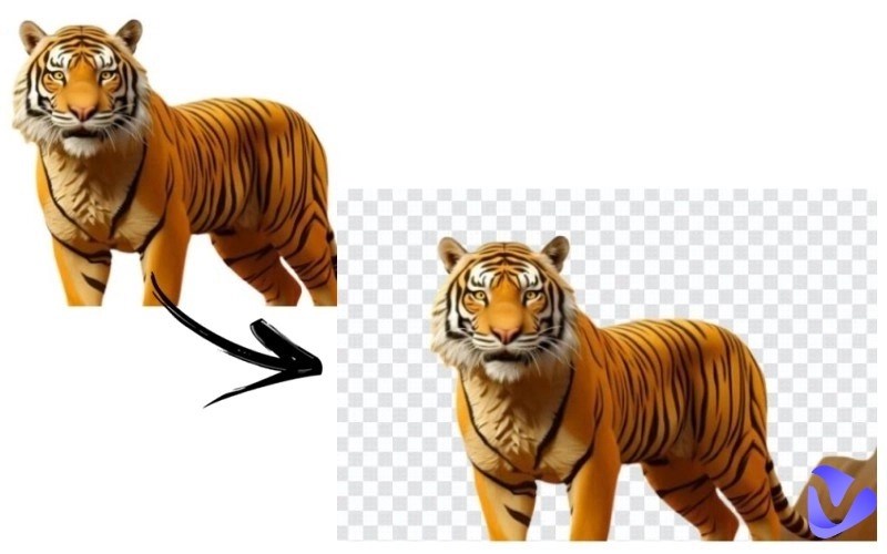 How to Remove White Background from Image Free [6 Ways]