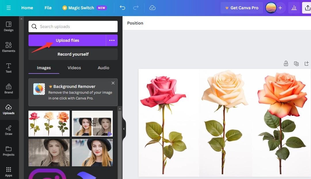How to Remove White Background from Image Free [6 Ways]