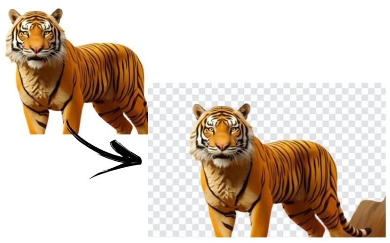 How to Remove White Background from Image Free [6 Ways]