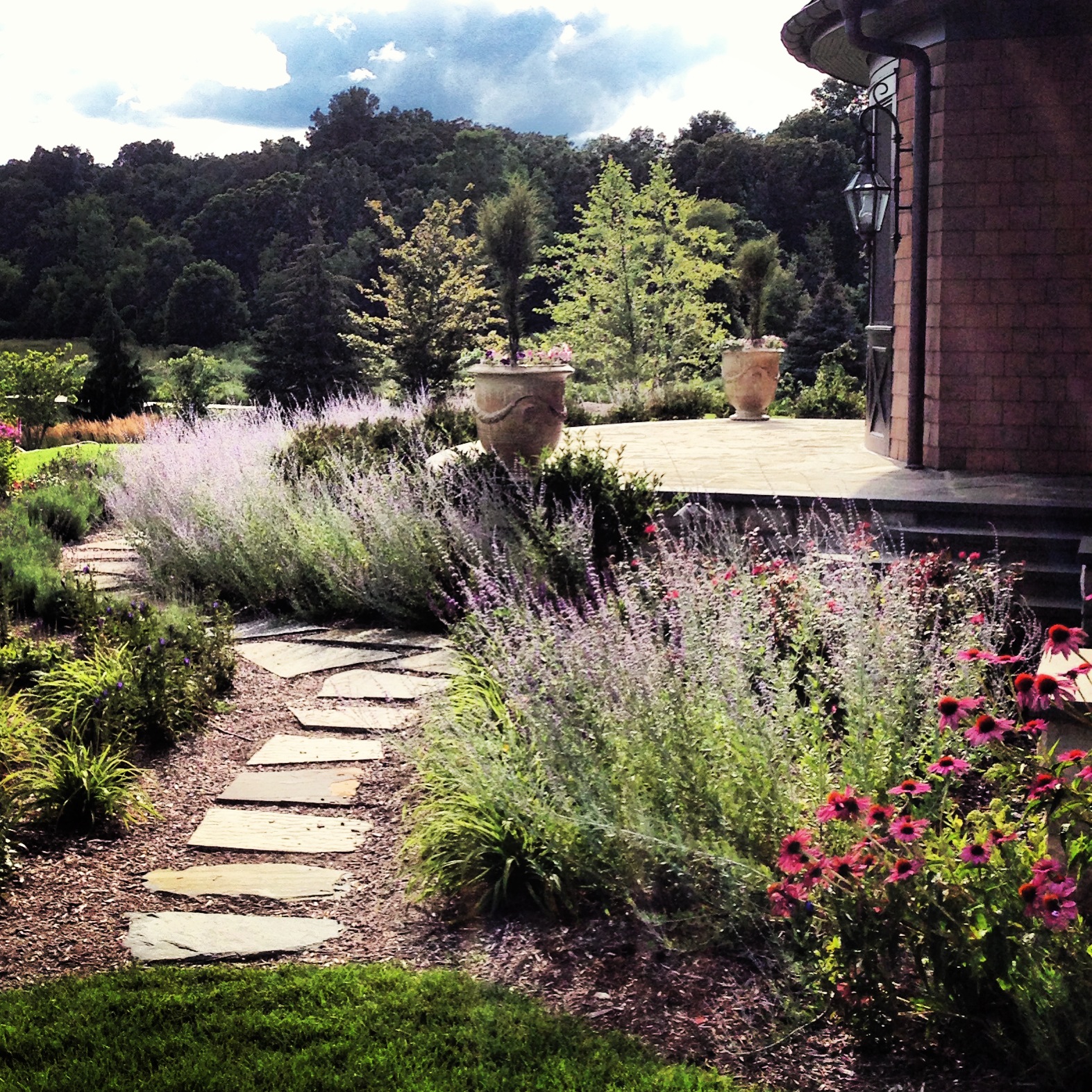 Flower Plantings Tree Plantings Northern Michigan