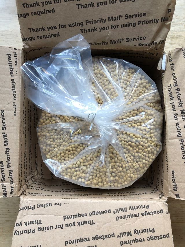 Soybean Buying Guide Where and How to Find Good Beans for Tofu Viet