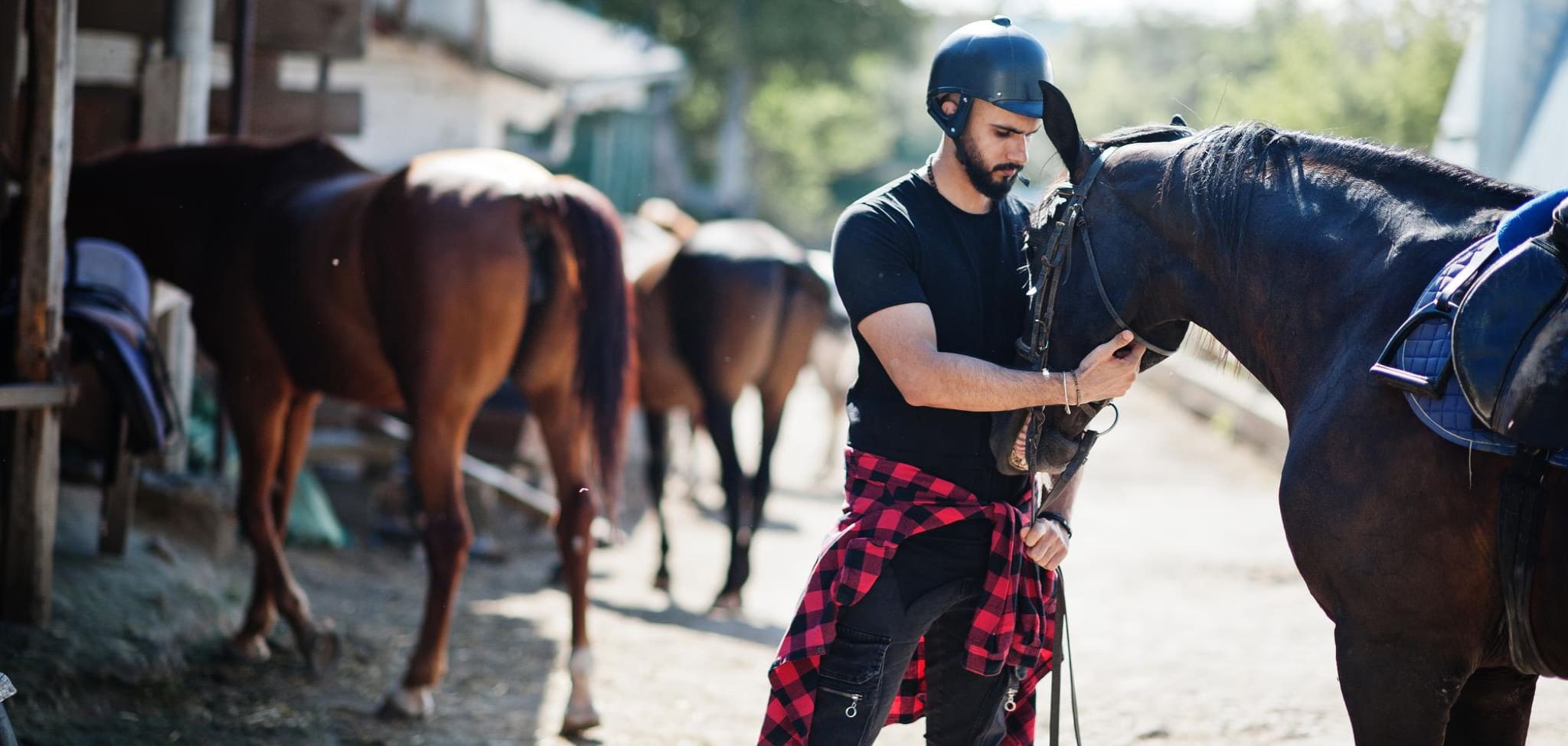 The Ultimate Guide to Different Horseback Riding Styles