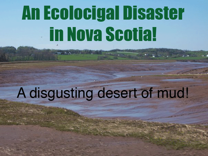 The Avon River Causeway, Windsor, Nova Scotia