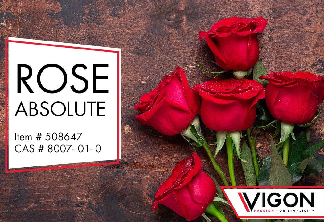 Rose Absolute Vigon