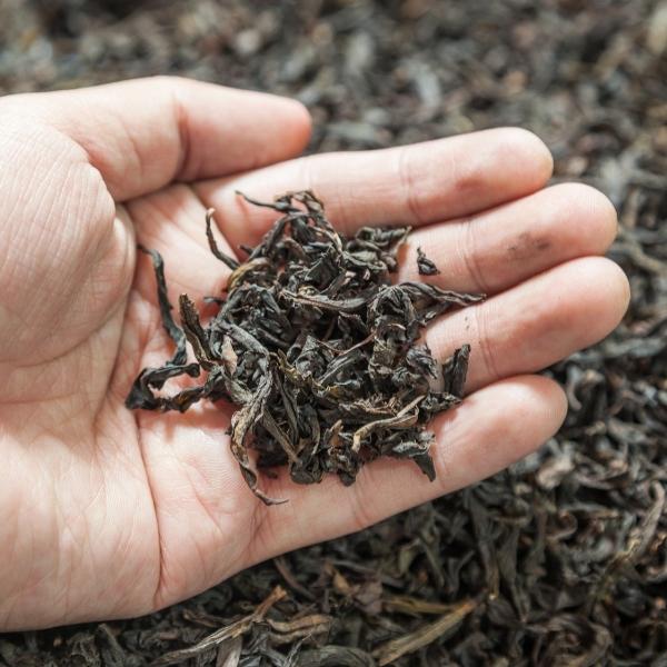 What does Oolong tea taste like? How to make greatest Oolong tea
