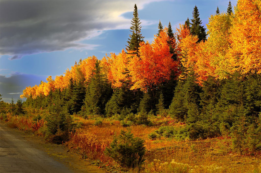 Viking Trail Tourism Association