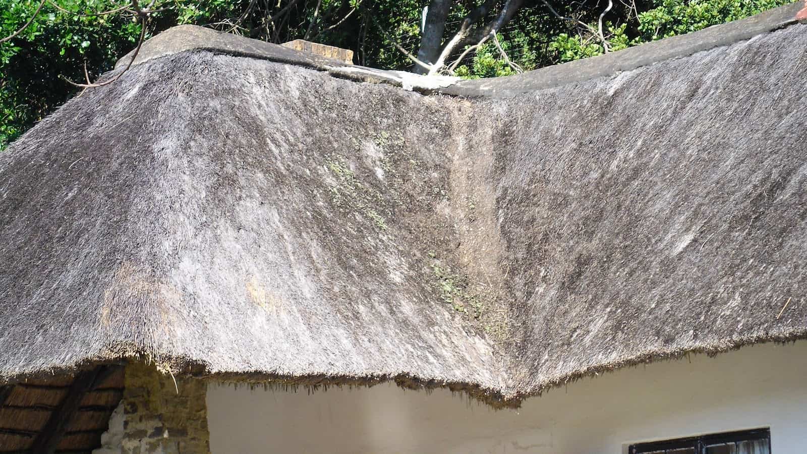 Problems With Thatched Roofs Village & Cottage