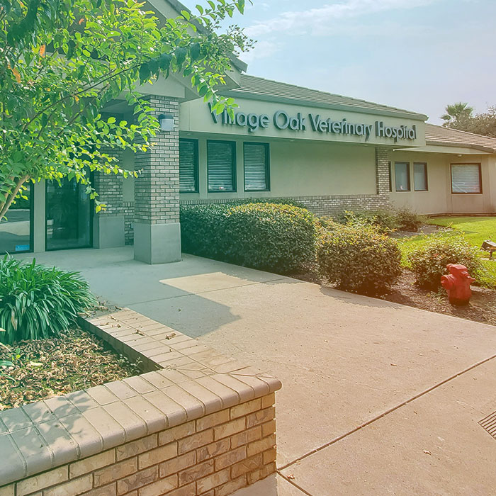 Home Village Oak Veterinary Hospital