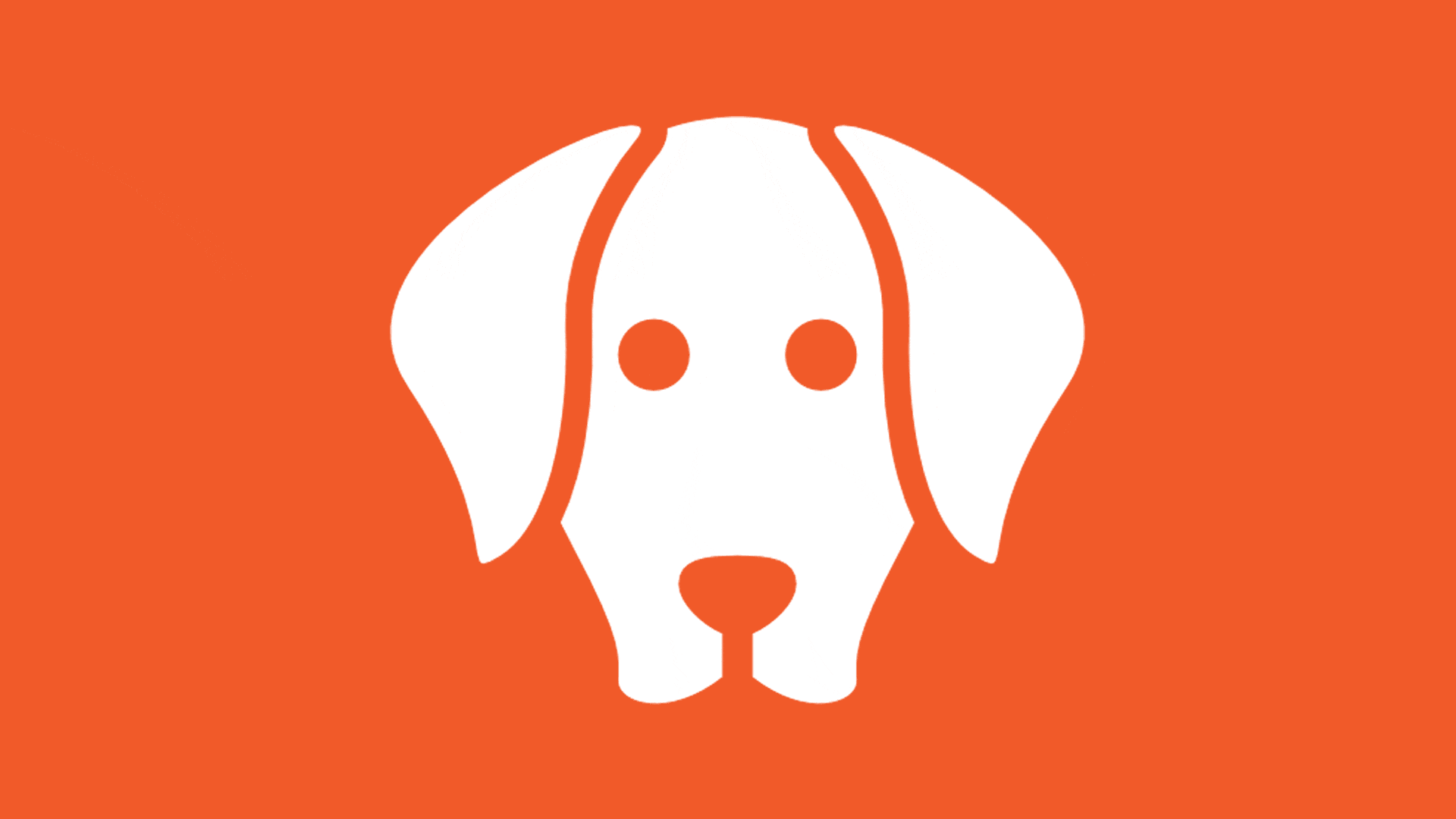 Moving with Pets to the Virgin Islands USVI Relocation Guide