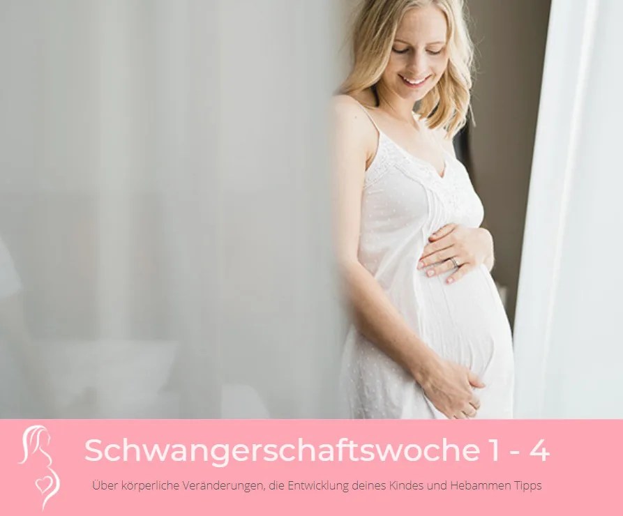 Schwangerschaftswoche 1 4 viMUM