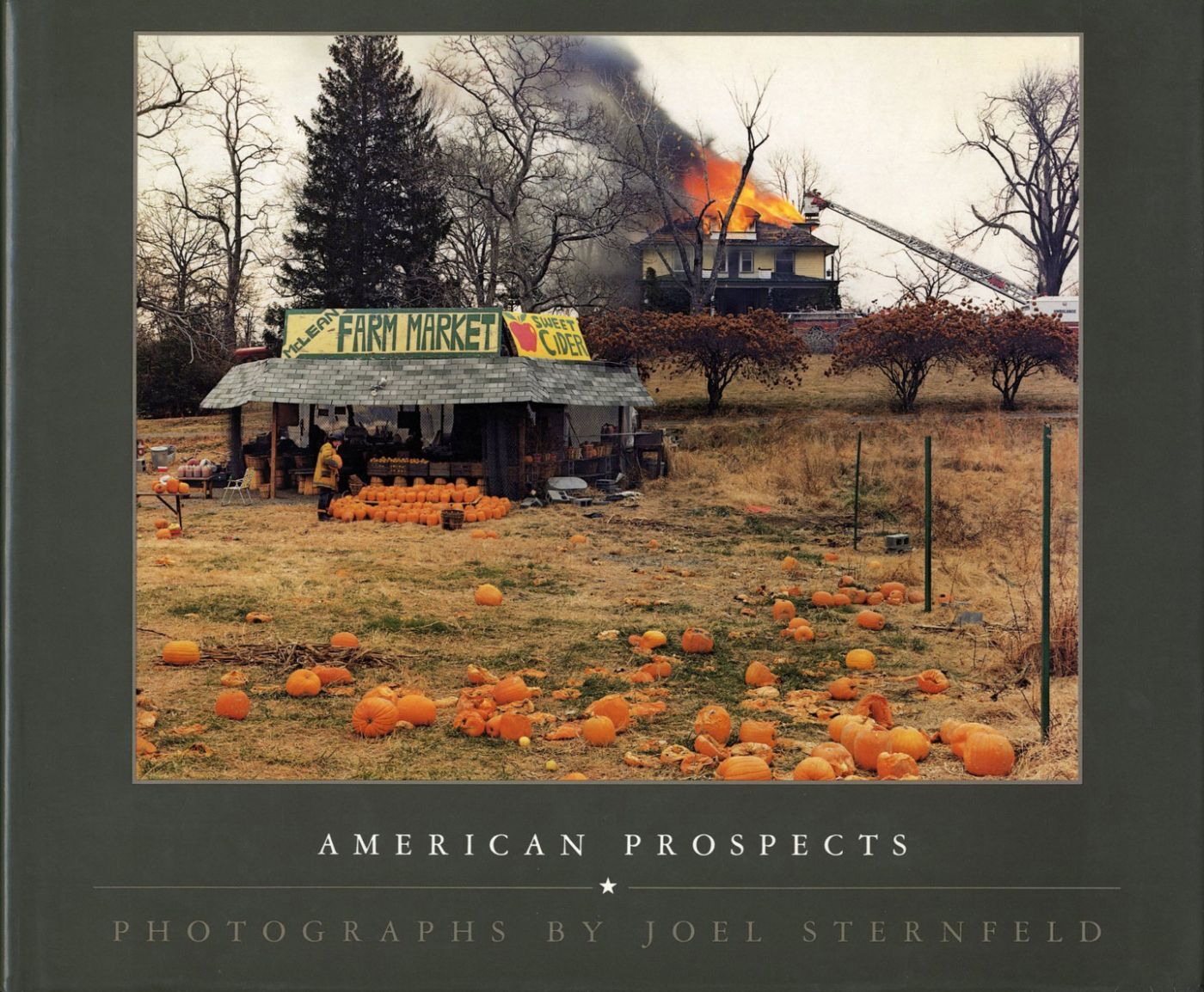Joel Sternfeld American Prospects First Hardcover Edition Joel