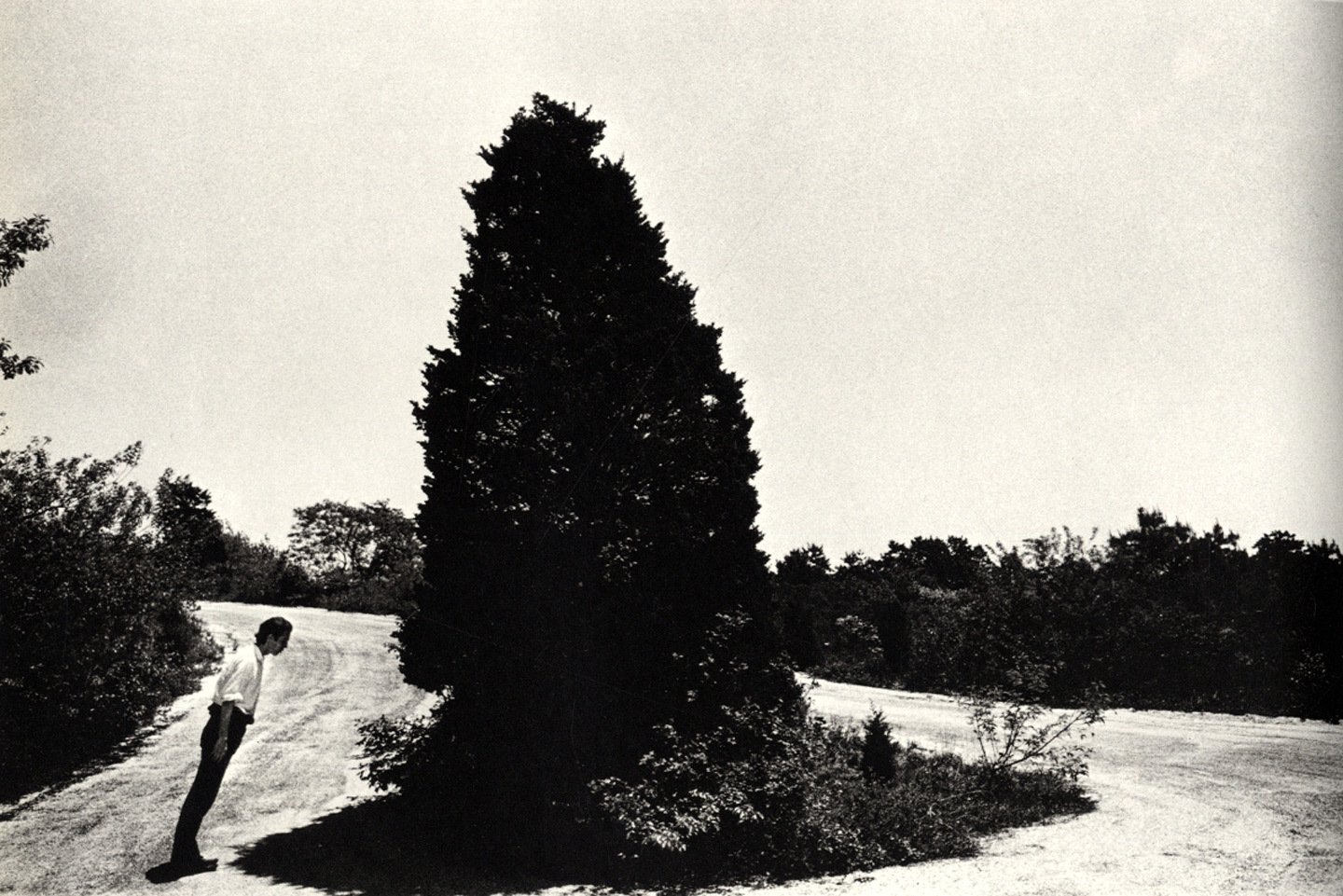 Ralph Gibson The Somnambulist Ralph GIBSON 2nd Edition