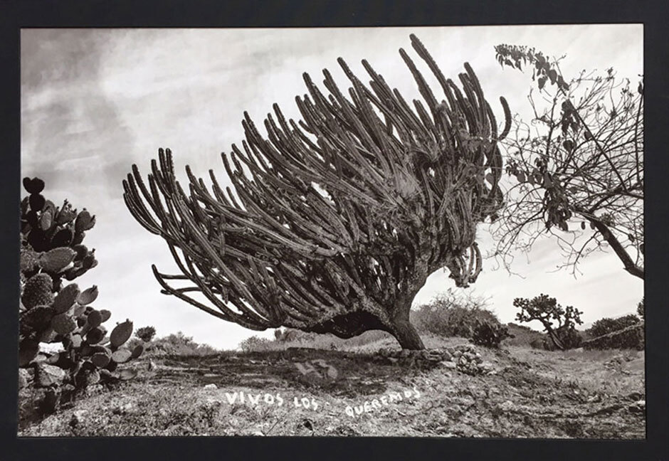 Pablo Ortiz Monasterio Desaparecen?, Special Limited Edition with