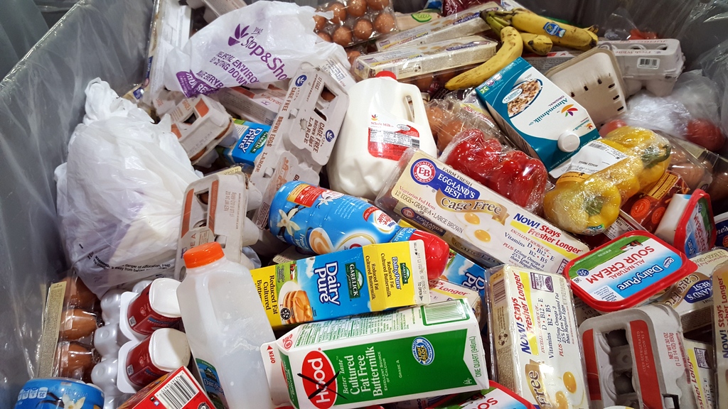 Repurposing Food Waste II Vincent Corp