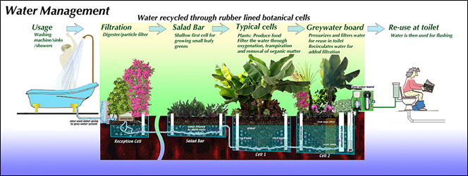 SPIRITUAL perspective of ENVIRONMENT Earth Seer, Vine