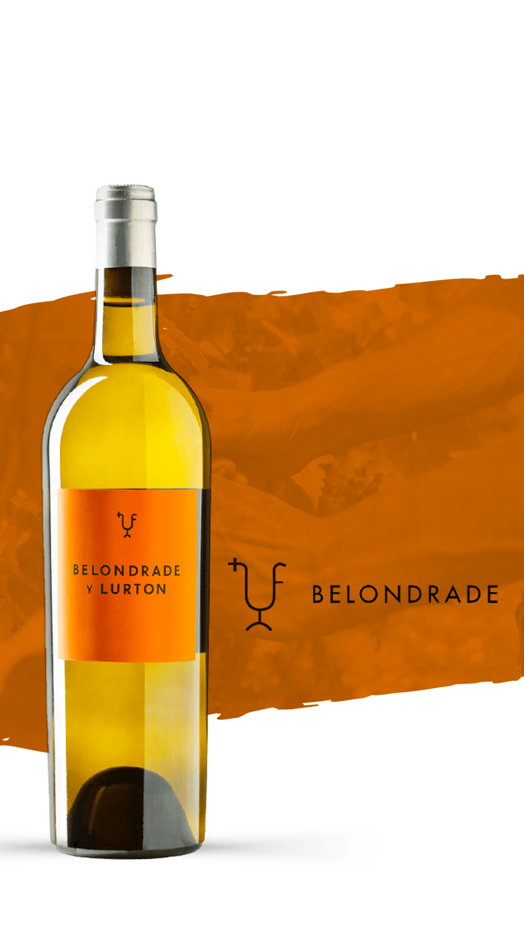 Icon of the Spanish wine world, Belondrade y Lurton arrives at Vinha VINHA