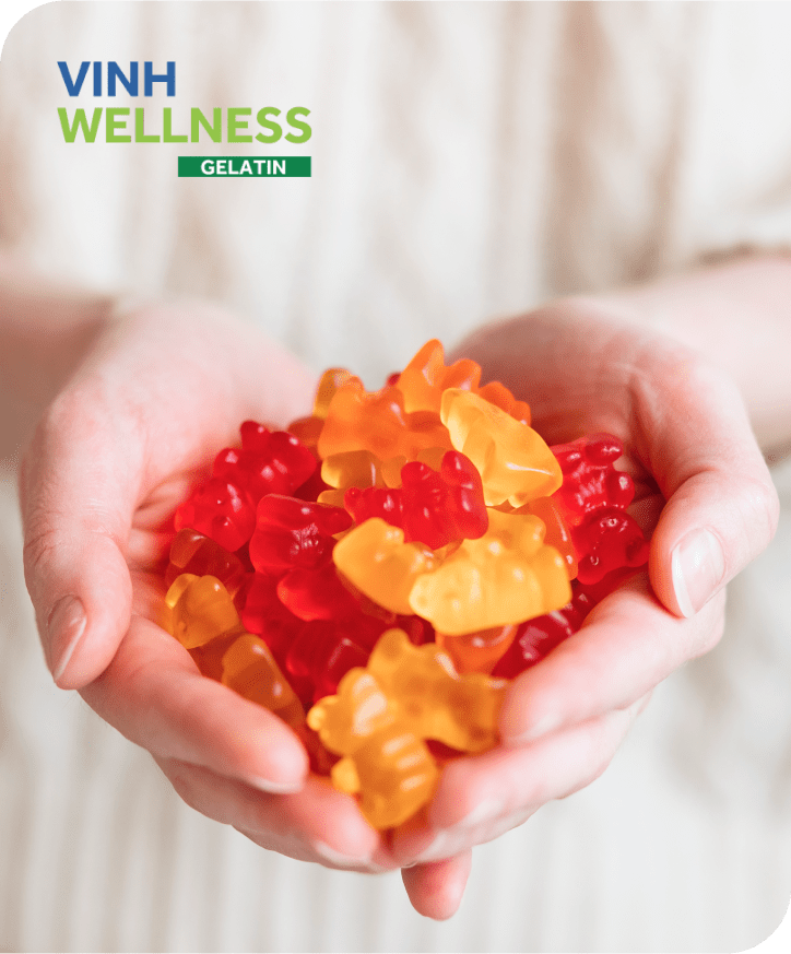 Food grade Gelatin 200 VHC