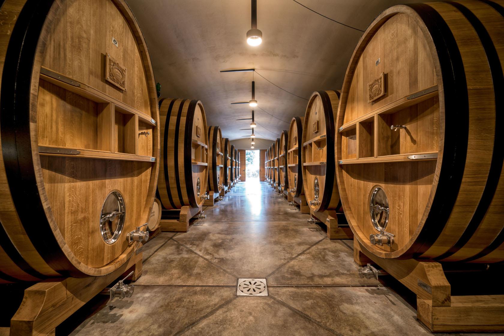 Santa Margherita Wine Experience Exclusive Vinis.it