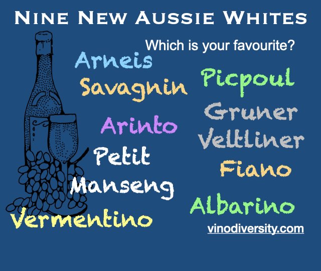 Zinfandel Wine in Australia. Description and wineries