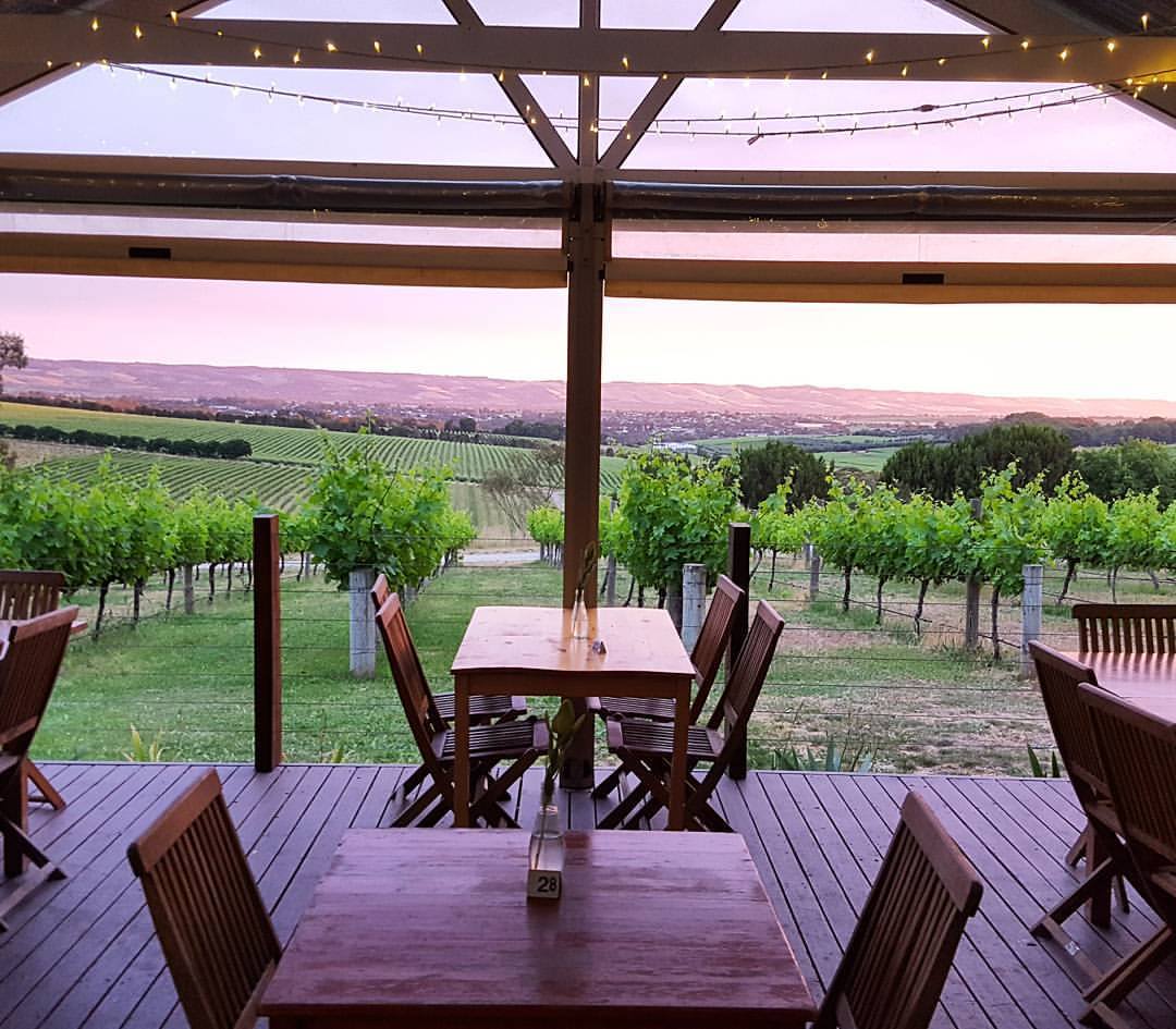 McLaren Vale Wine Region