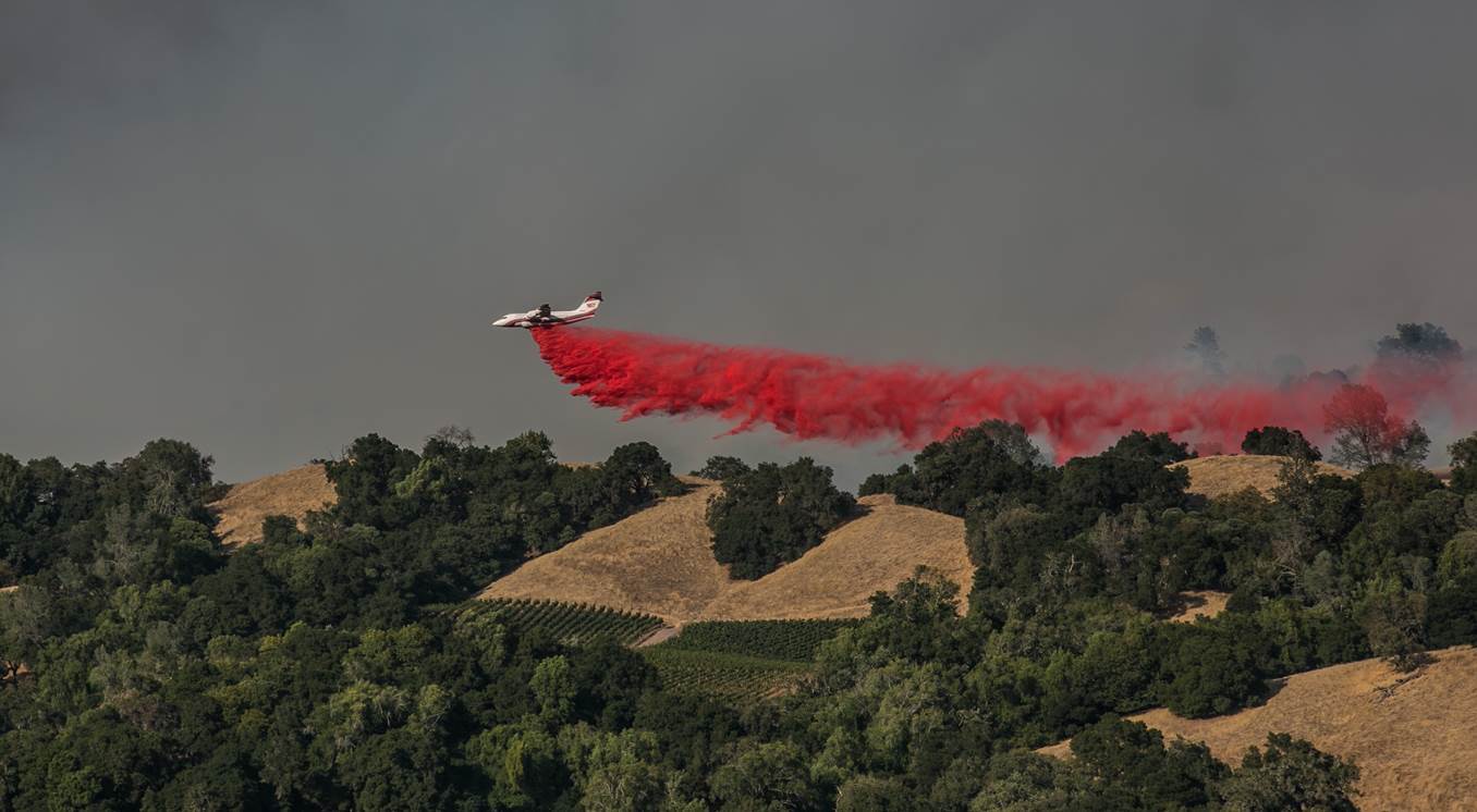 Donate to the 2020 Wine Country Fire Relief Fund Vinography