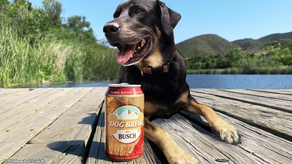 Dog Brew una cerveza para perros