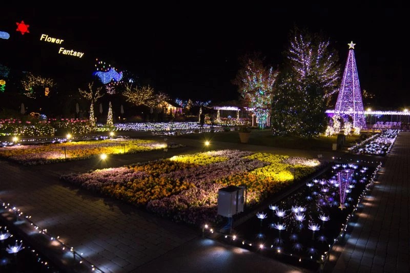 Ashikaga Flower Park Illumination 2024 Christmas Ornament Luces de invierno el espectáculo que transforma Japón en un cuento de