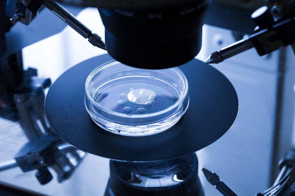 How much IVF is useful with self EGG
