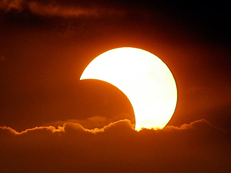 A Pile Of Corpses In The Sun